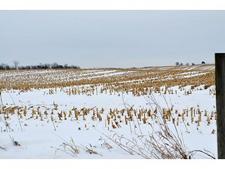 Property photo 12 - AUCTION, 206 Contiguous Acres offered in 5 Tracts